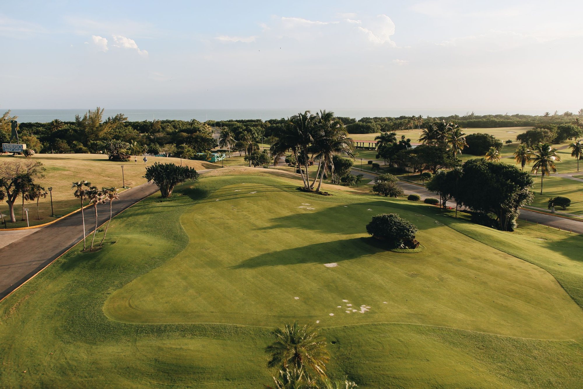Golf course framed by palm trees, illustrative