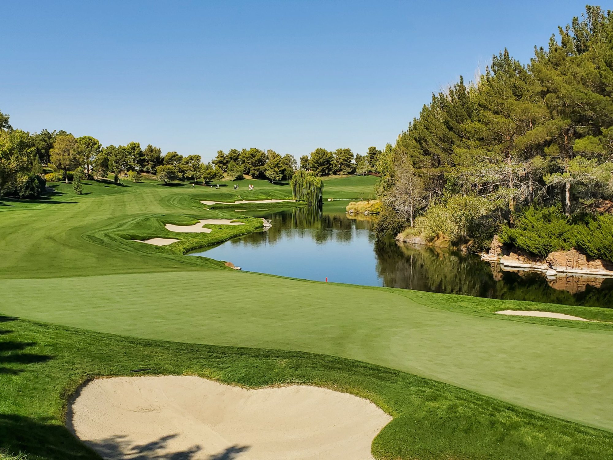 A golf course pond under palm trees, illustrative